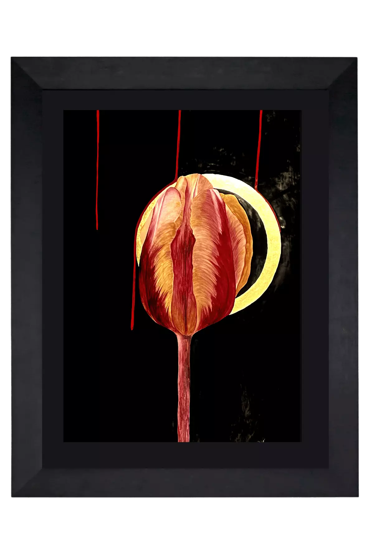 75 x 102 cm Akvarell